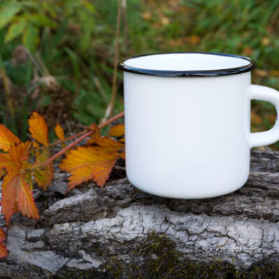 Istockphoto 1176712862 612x612
