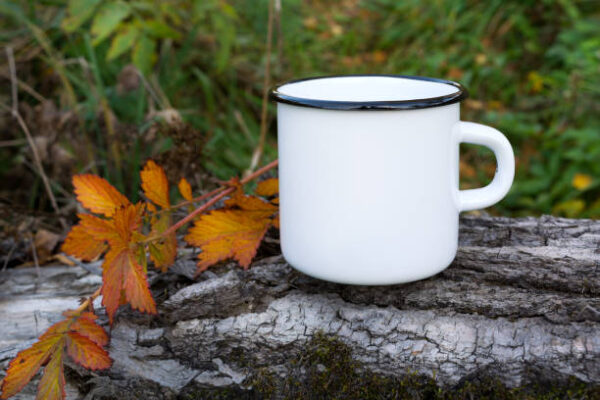 Istockphoto 1176712862 612x612
