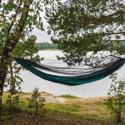 Istockphoto 1675812919 612x612