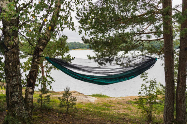 Istockphoto 1675812919 612x612