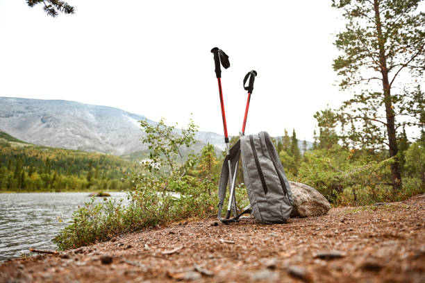 Backpack for hiking