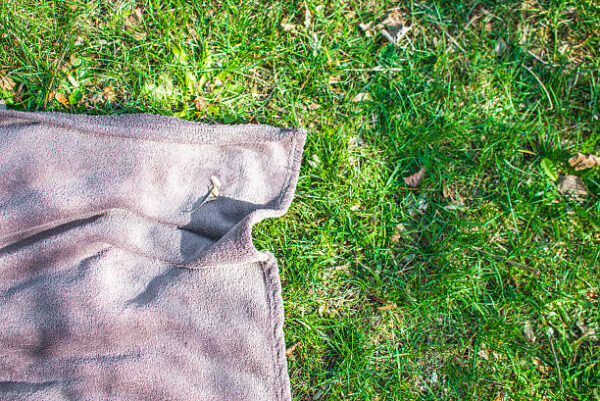 Blue picnic blanket on the grass field
